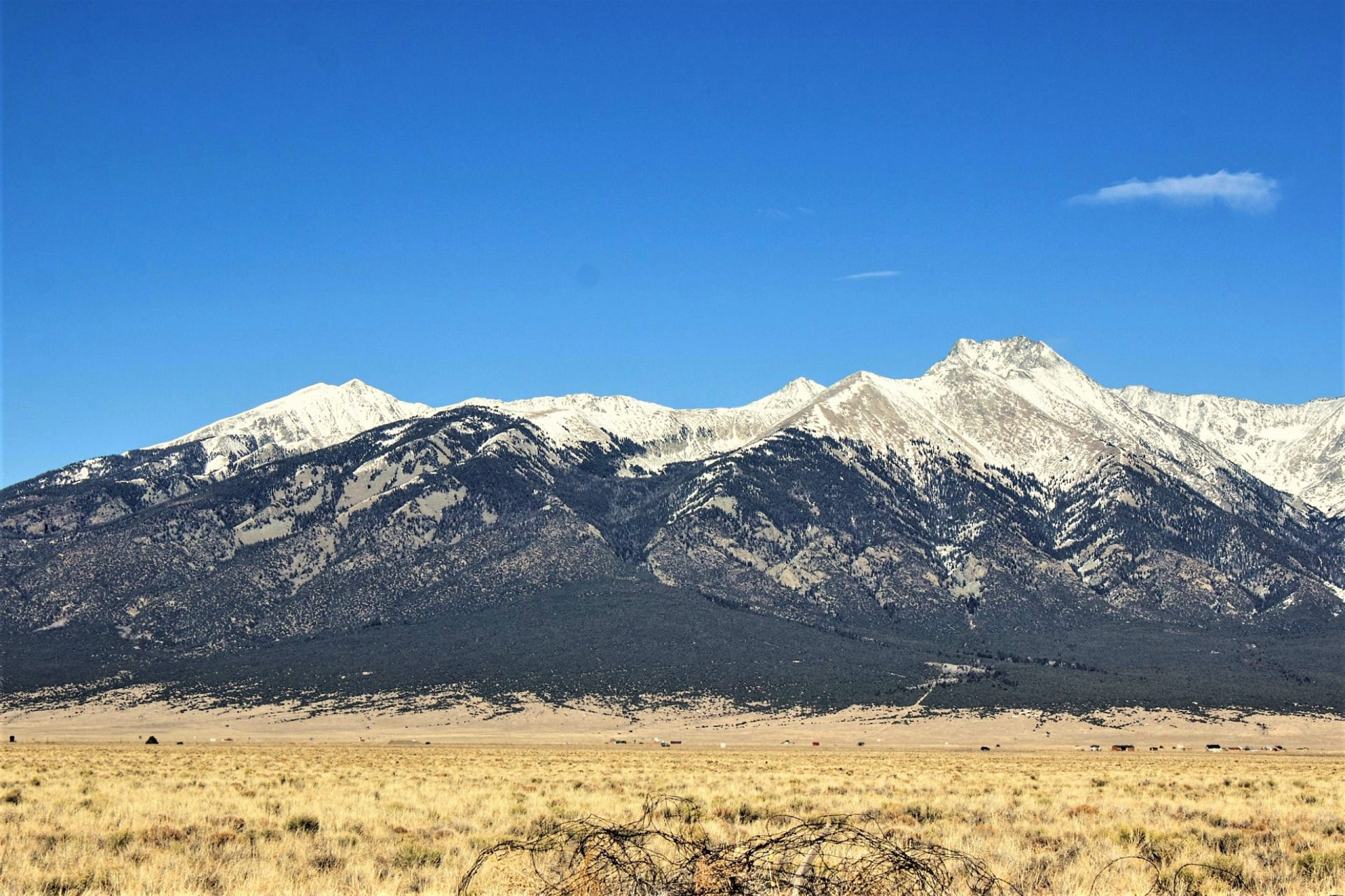 San Luis Valley Firewood & Heat