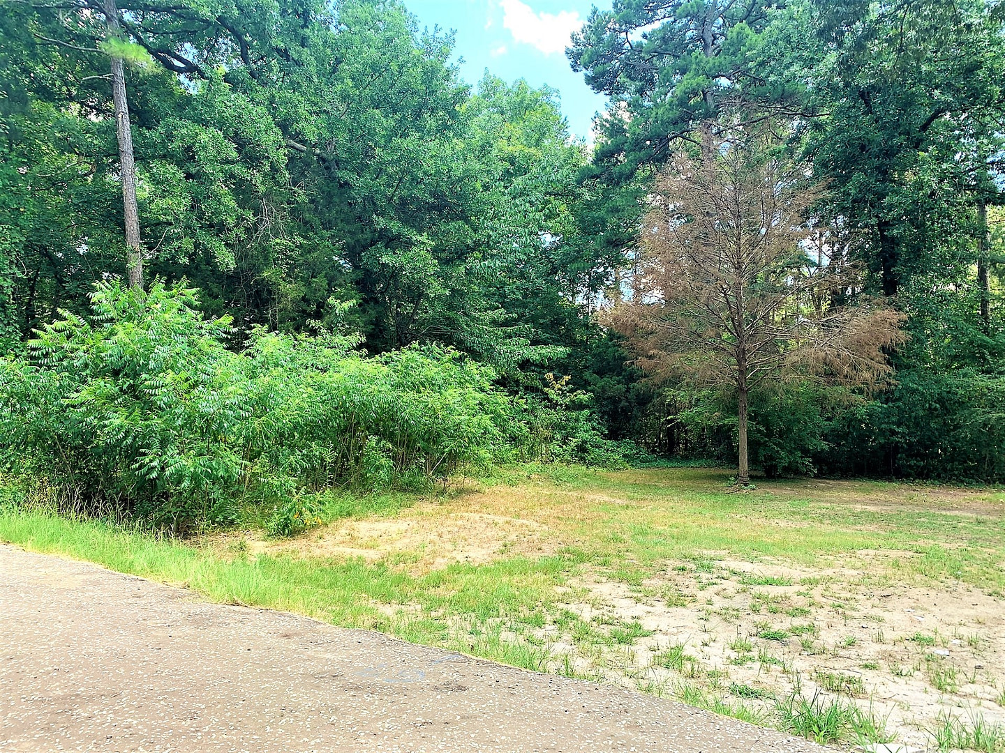 0.08 Acre Cleared RV/Mobile Lot by the Lake with Electric and Water near Dallas TX