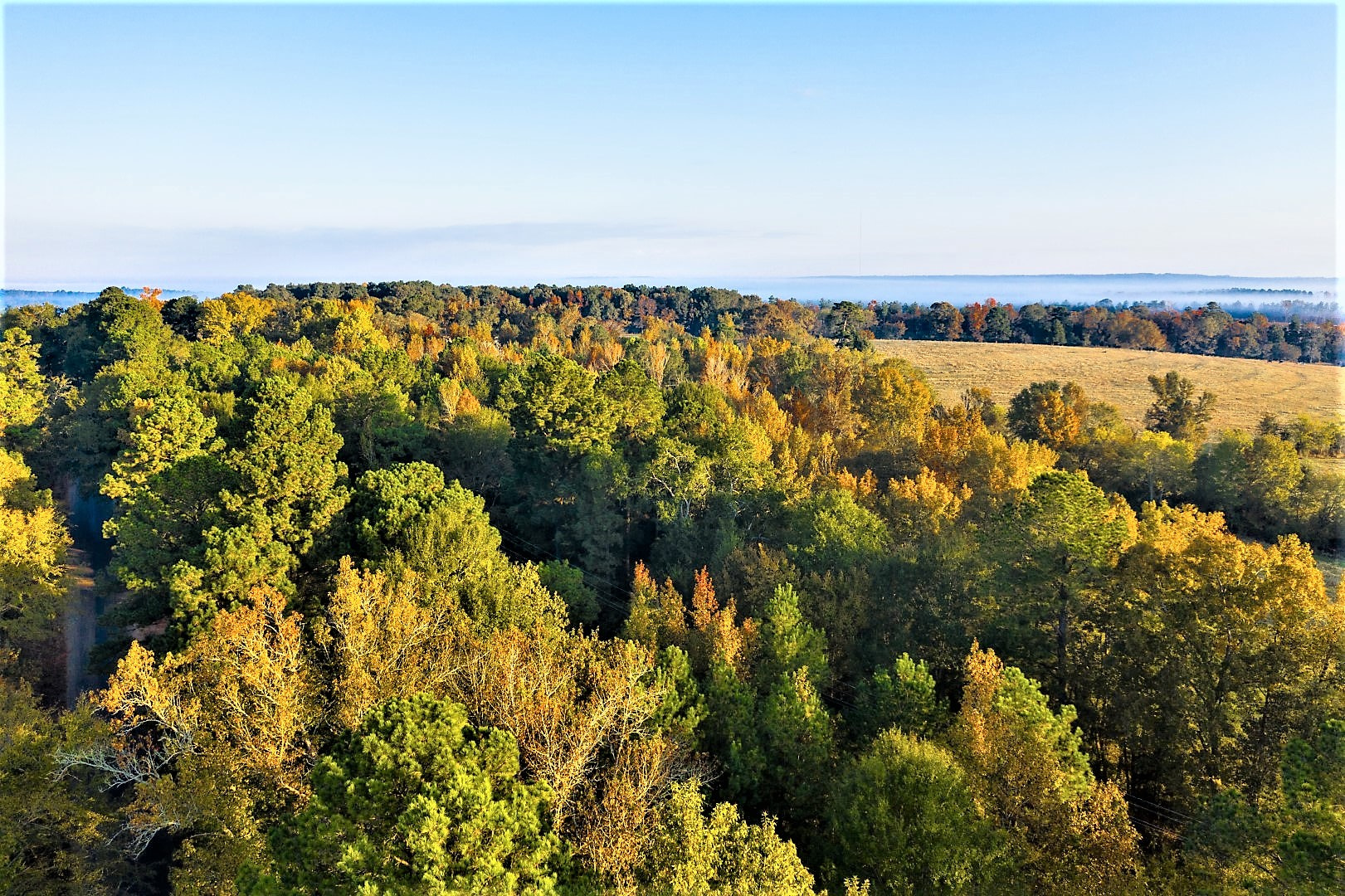 1.82 Acres UNRESTRICTED Wooded Land with Electric and Water near Rusk, Texas