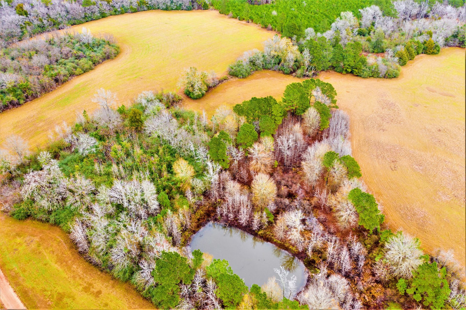 6 Acres UNRESTRICTED Wooded Land with MINERAL RIGHTS, Utilities, and Pond near Rusk, TX!